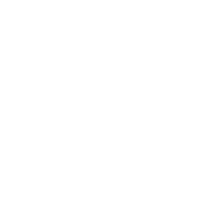 Salsify
